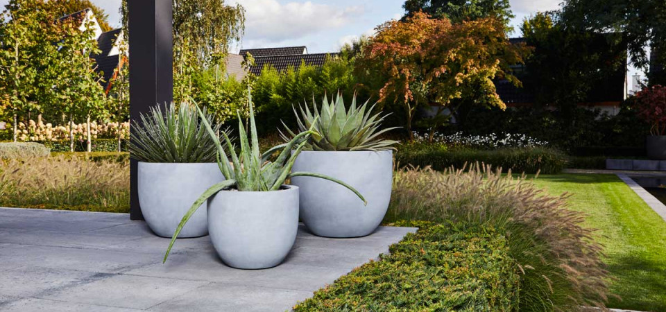 Ghivece si jardiniere